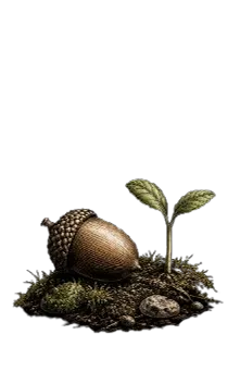 Botanical illustration of an acorn beside a small sprout